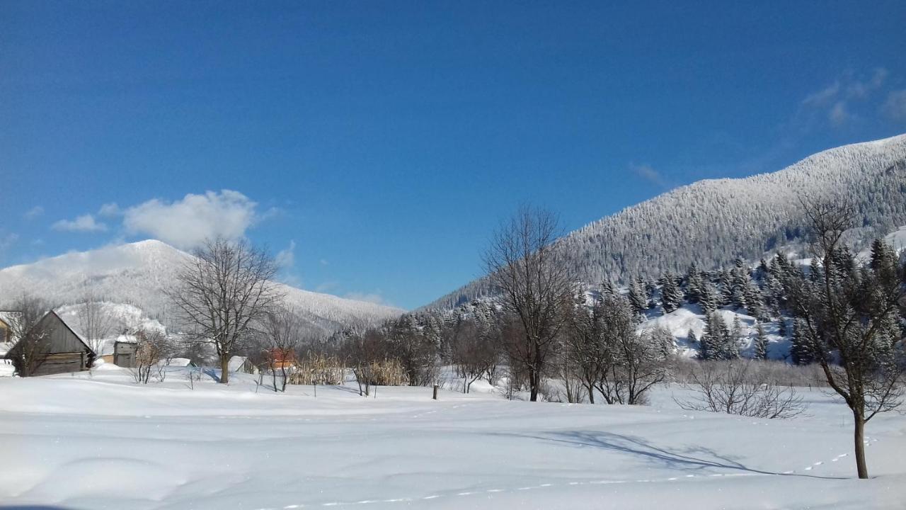 Sadyba U Anastasijky Synevyr Esterno foto