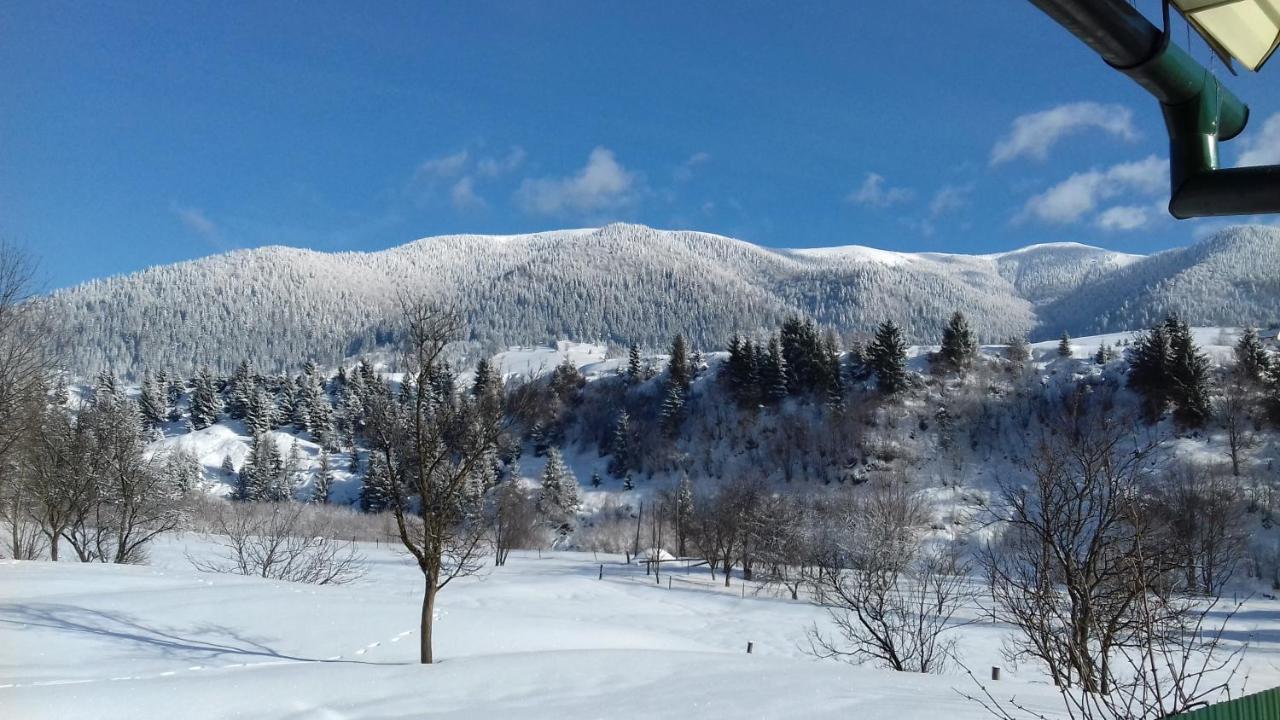 Sadyba U Anastasijky Synevyr Esterno foto